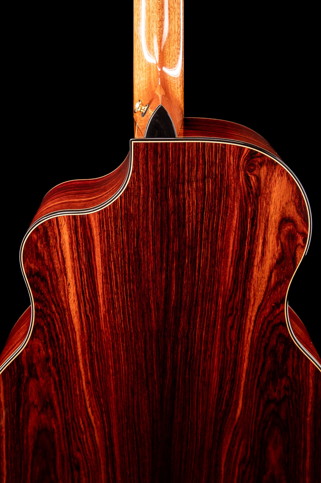 MG 4.5 Cocobolo & Bearclaw Sitka Spruce