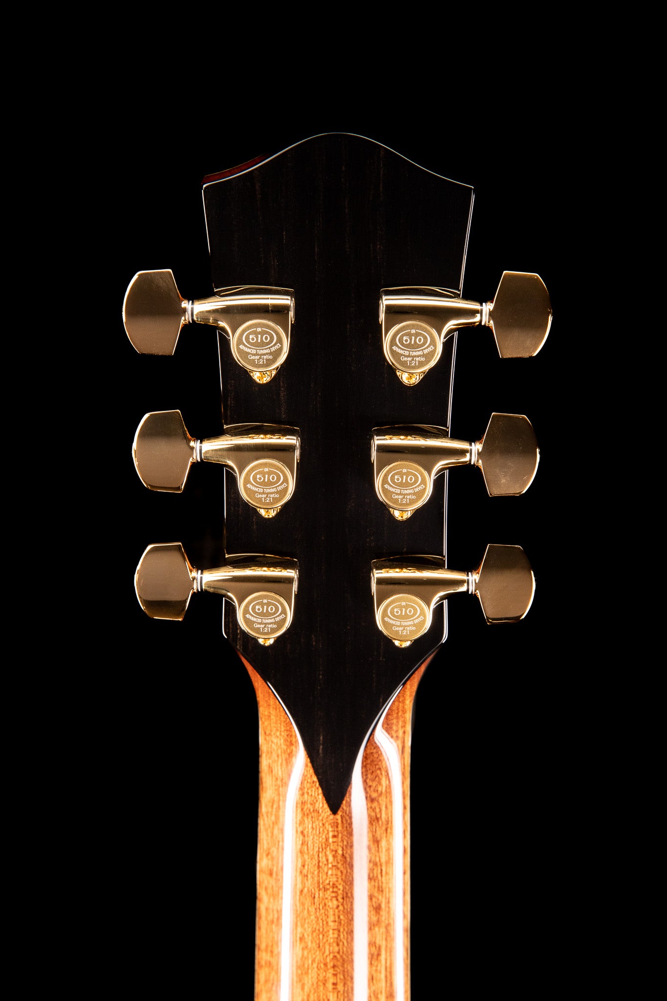 MG 4.5 Cocobolo & Bearclaw Sitka Spruce