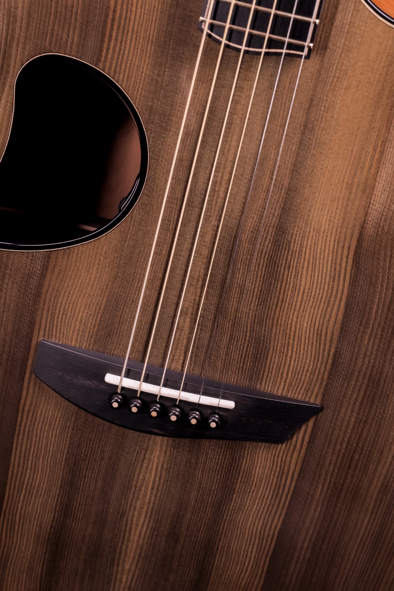 MG 4.5 Ancient Kauri & Ancient Sitka Spruce