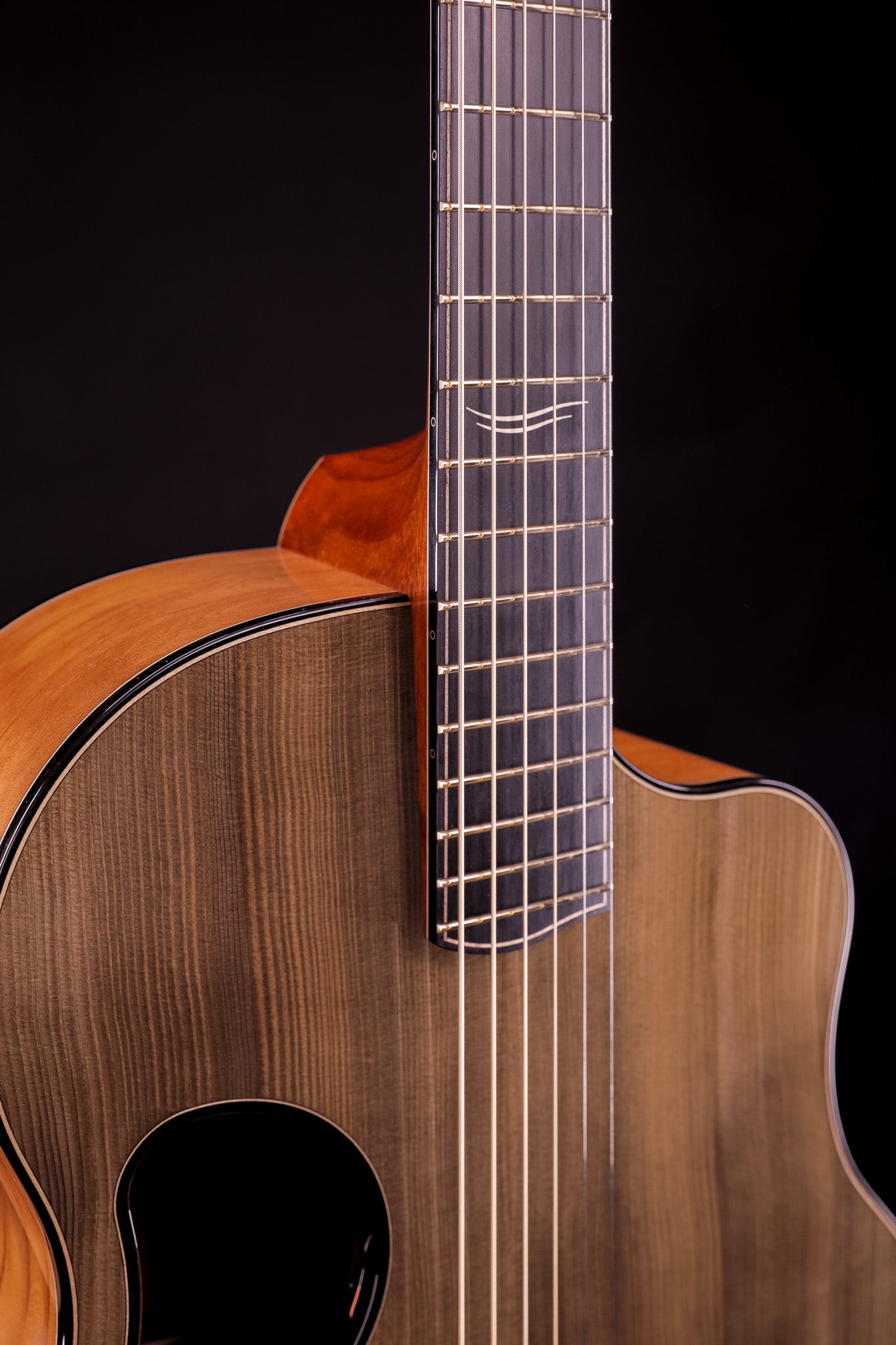 MG 4.5 Ancient Kauri & Ancient Sitka Spruce