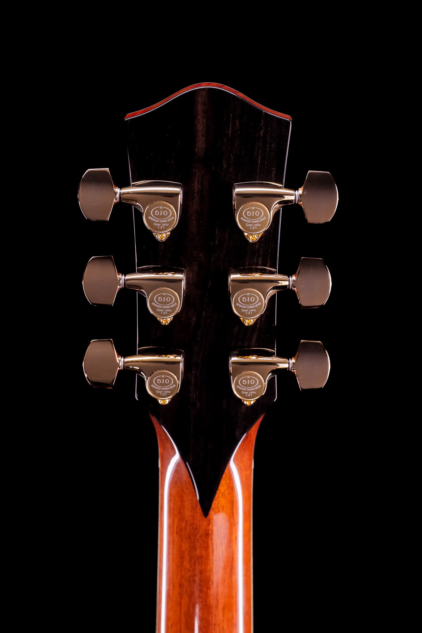 MG 4.5 Ancient Kauri & Ancient Sitka Spruce