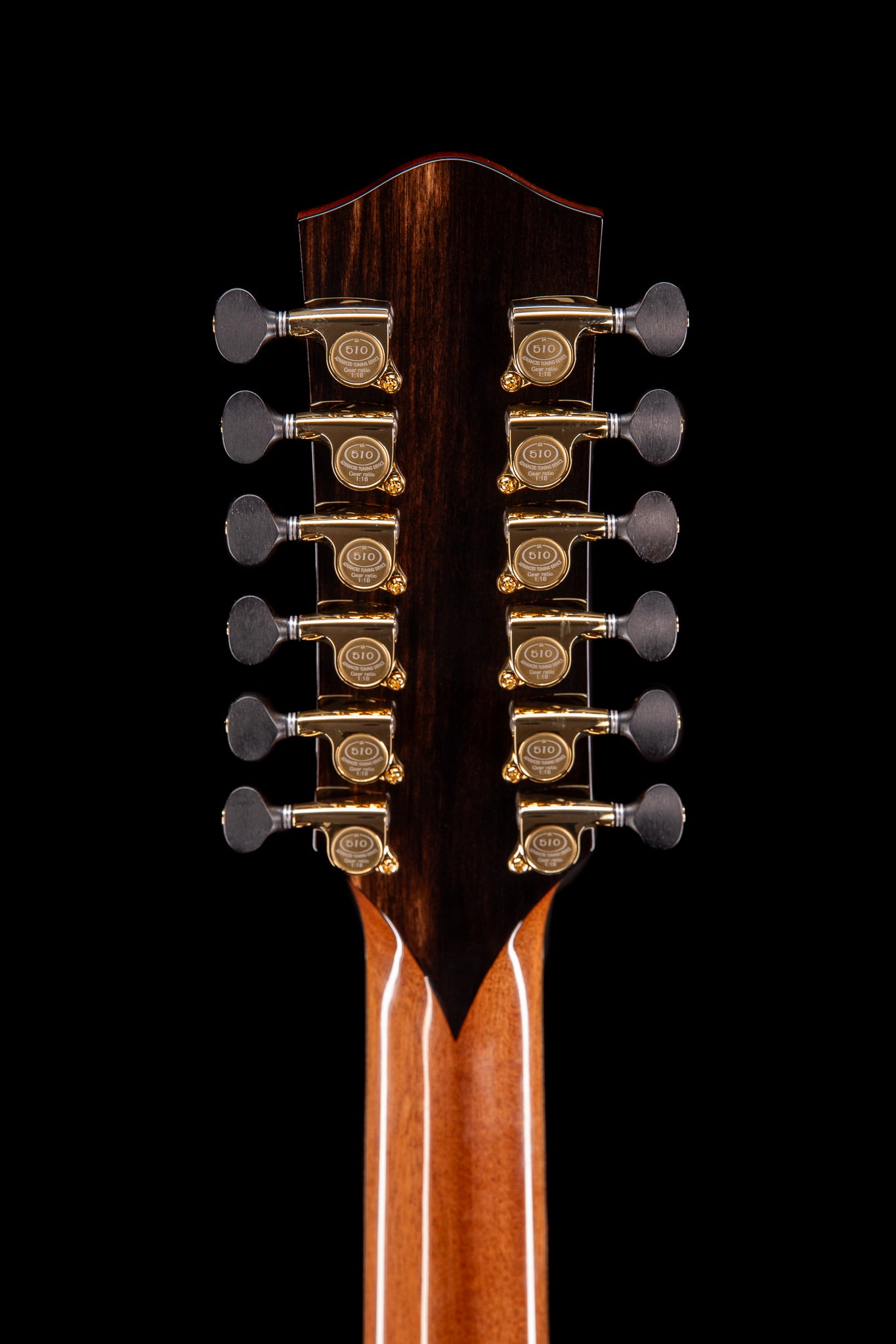MG 4.5 XP12 East Indian Rosewood & Bearclaw Sitka Spruce