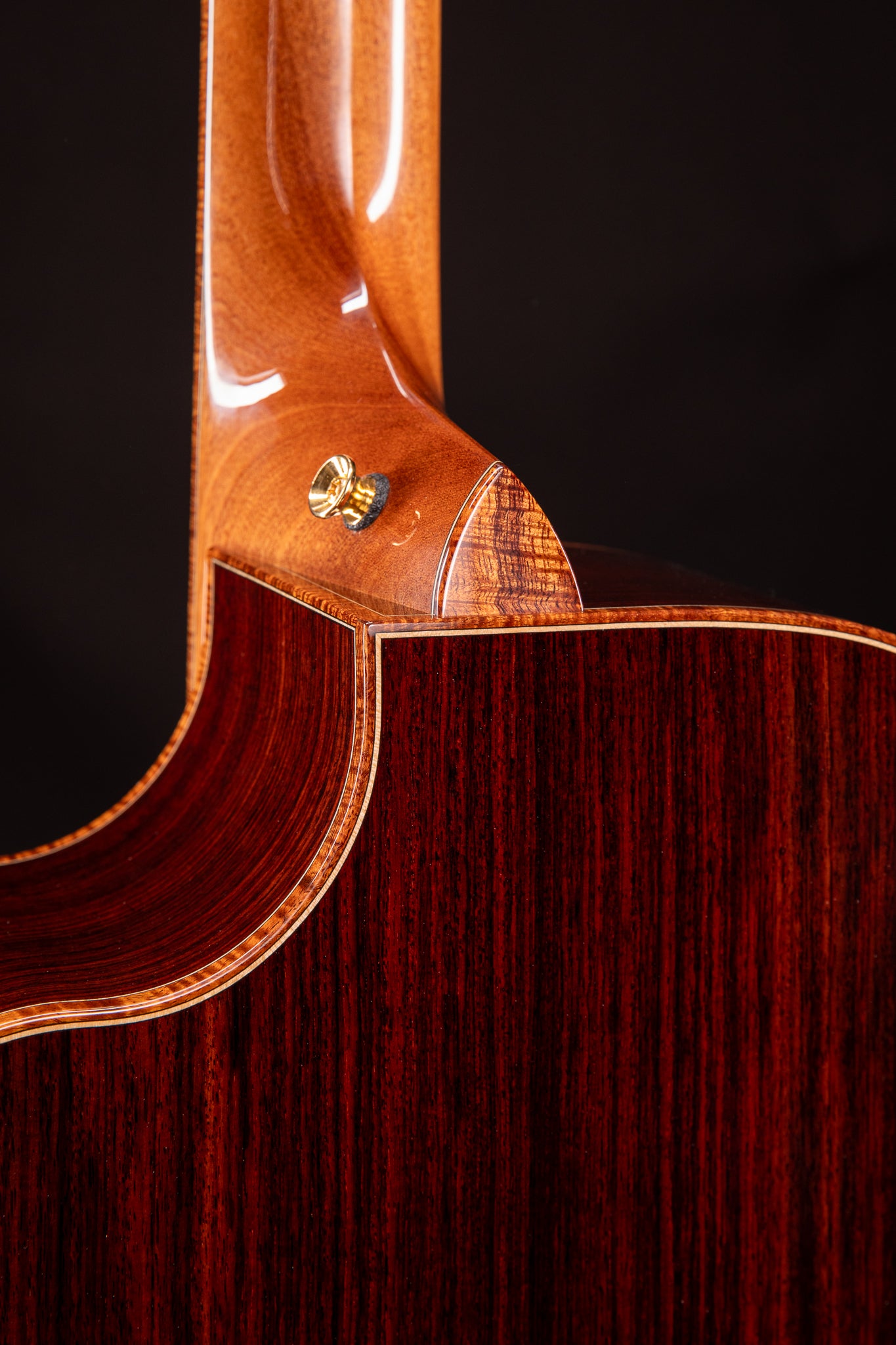 MG 4.5 XP12 East Indian Rosewood & Bearclaw Sitka Spruce