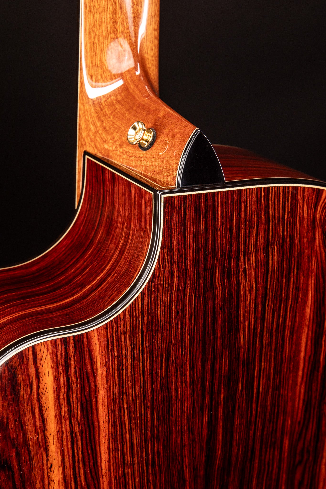 MG 4.5 Cocobolo & Bearclaw Sitka Spruce