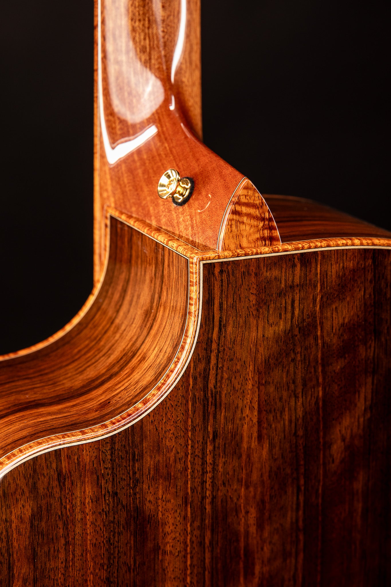 MG 4.0XP Macassar Ebony & Engelmann Spruce