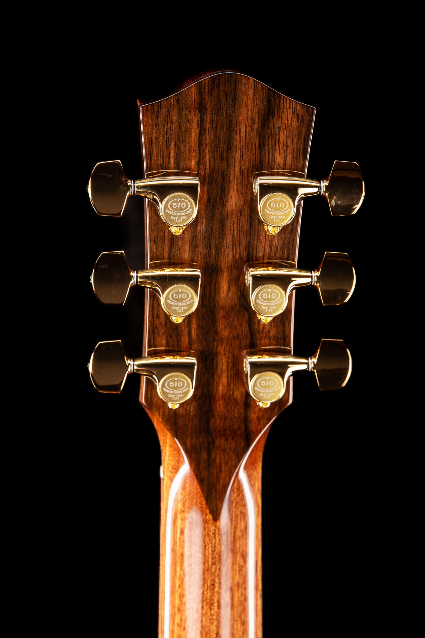 MG 4.0XP Macassar Ebony & Engelmann Spruce