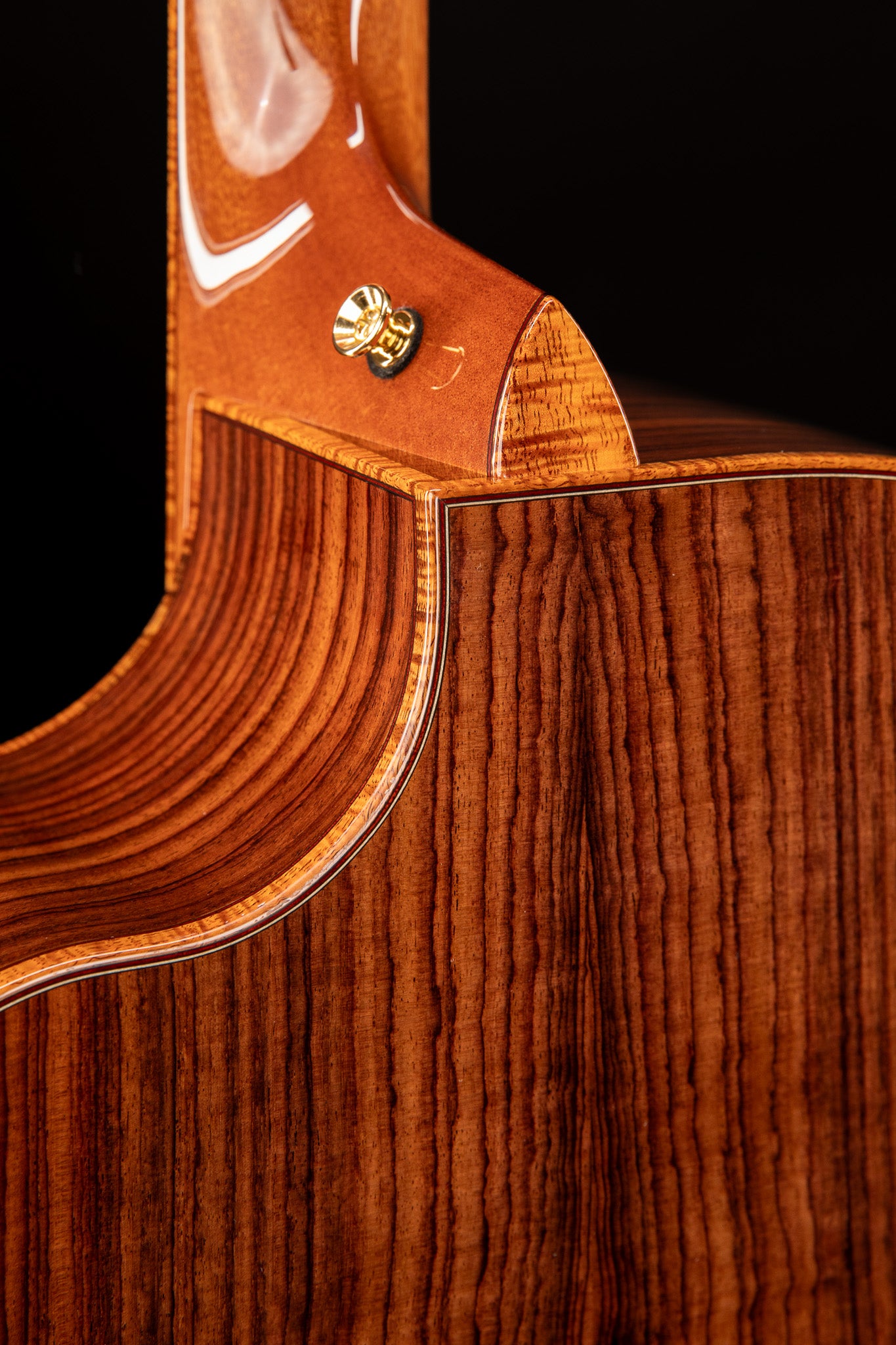 MG 5.0 East Indian Rosewood & Western Red Cedar