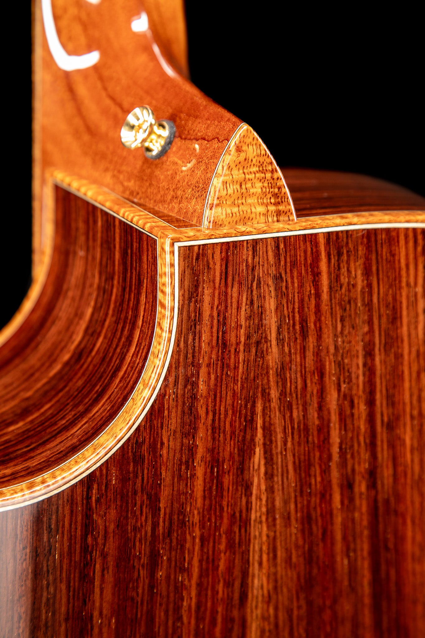 MG 4.0XP - East Indian Rosewood & Red Spruce