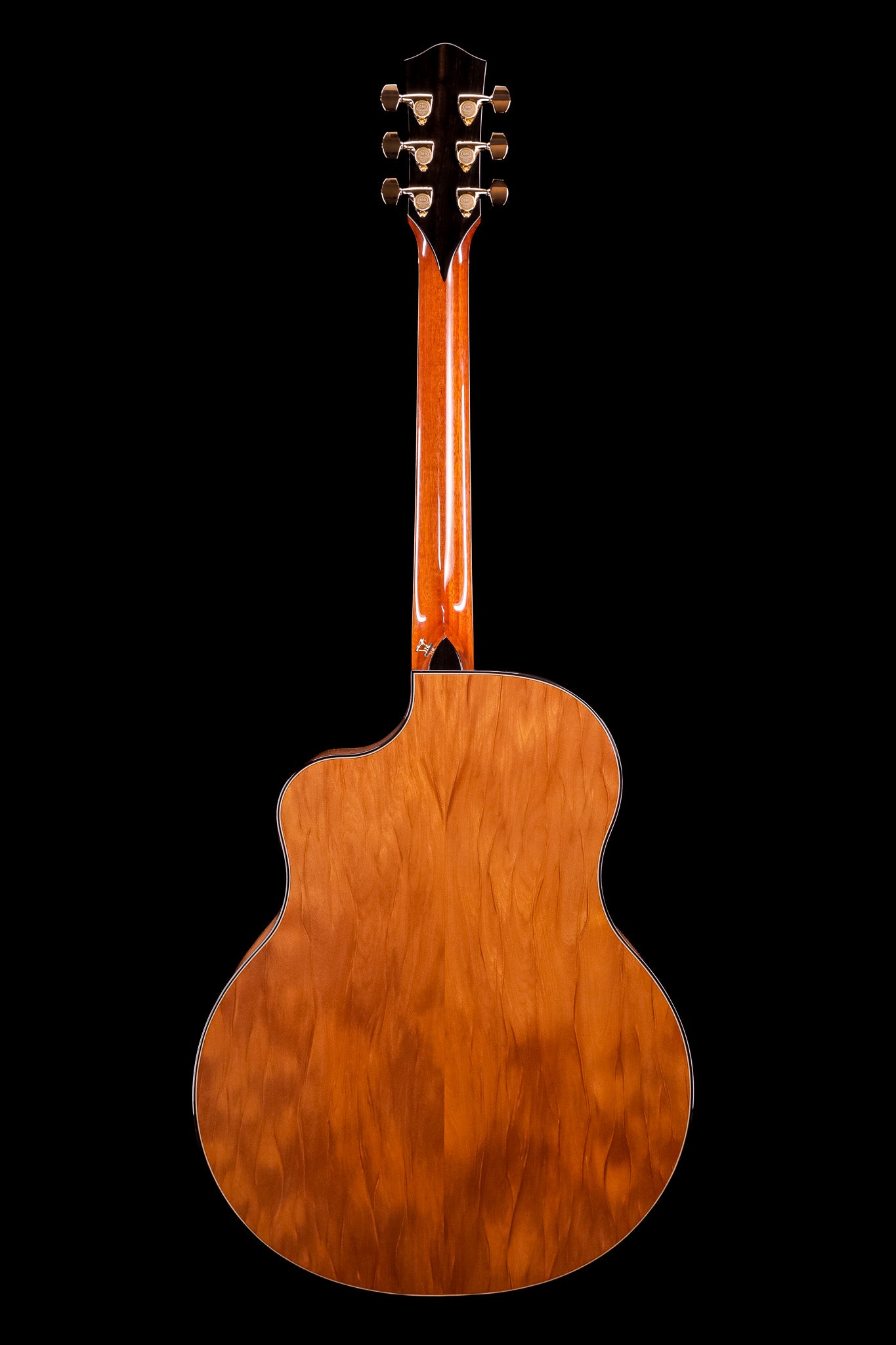 MG 4.5 Ancient Kauri & Ancient Sitka Spruce
