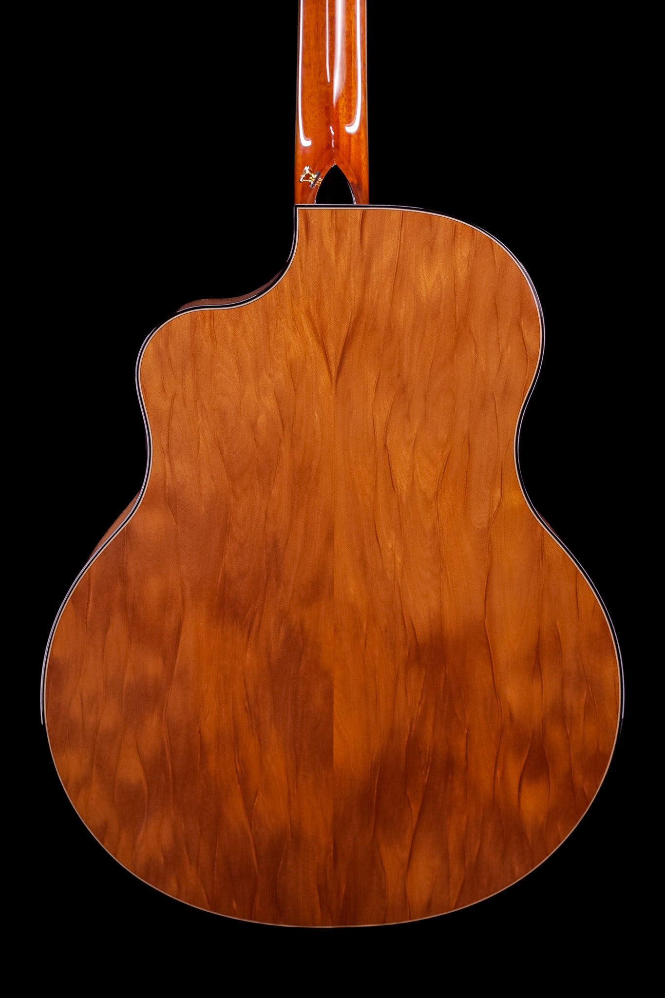 MG 4.5 Ancient Kauri & Ancient Sitka Spruce
