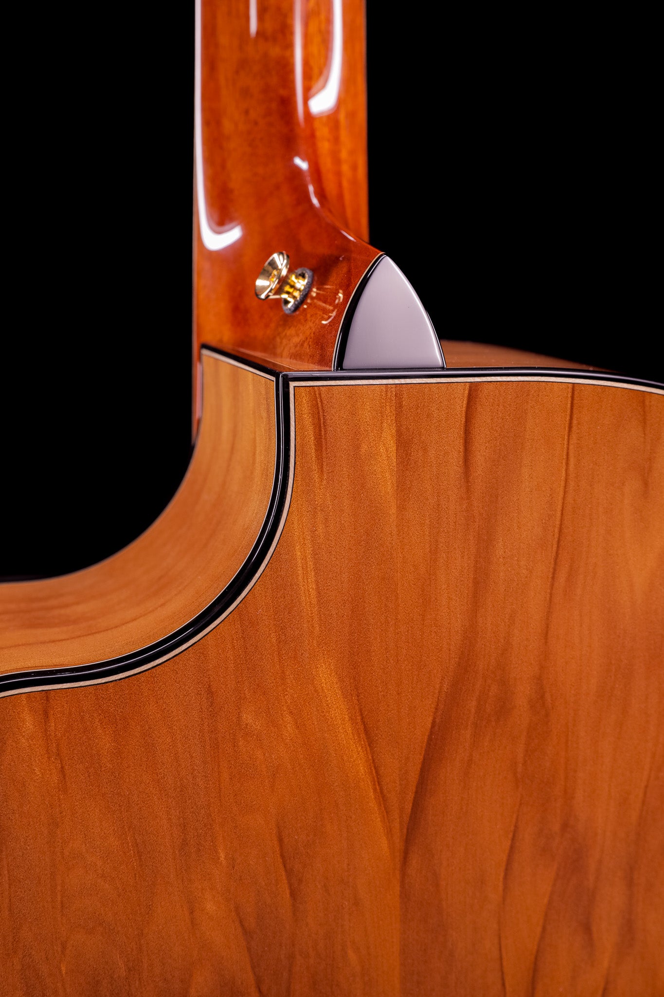MG 4.5 Ancient Kauri & Ancient Sitka Spruce