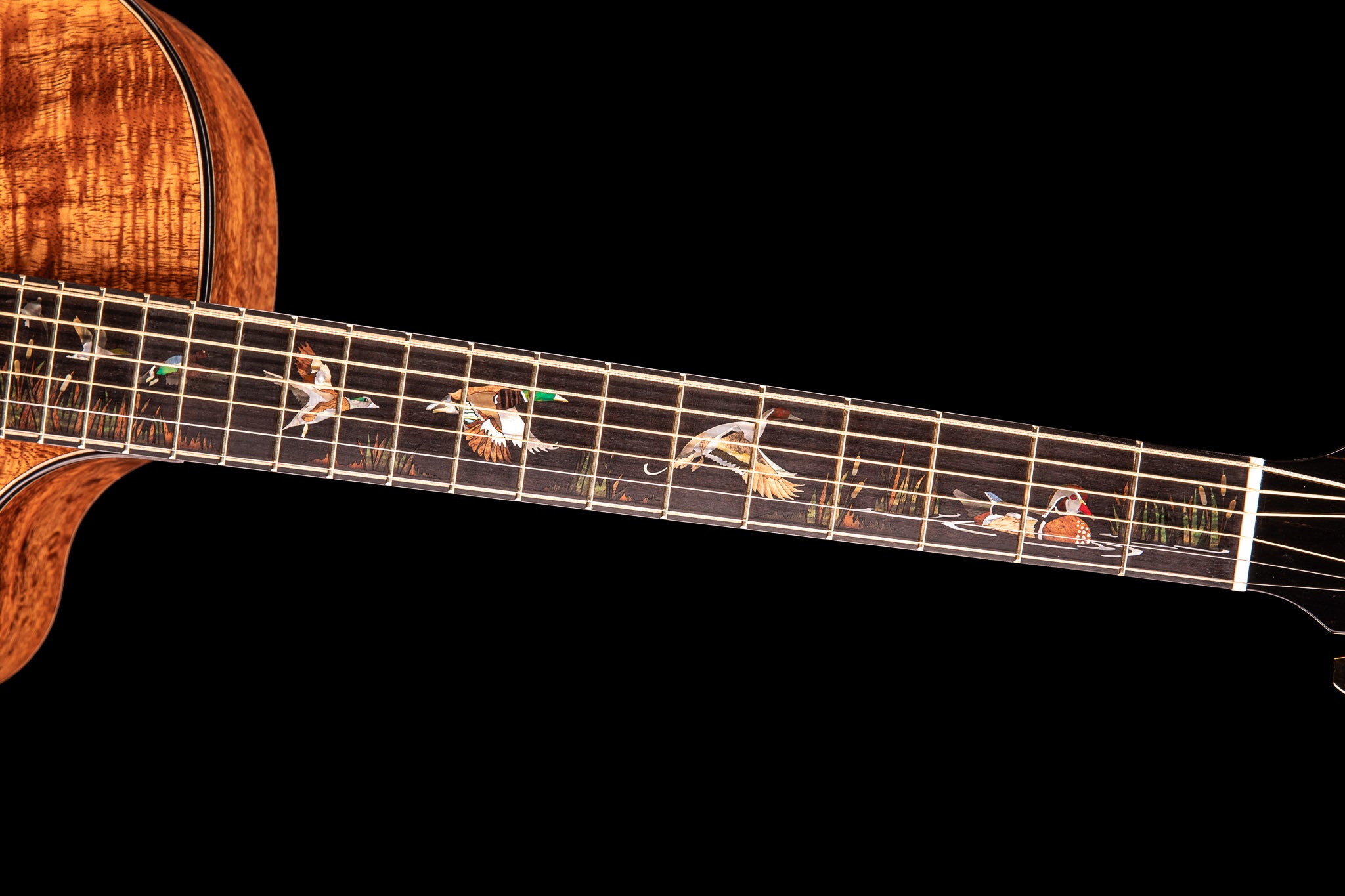 MG 4.5 Flamed Koa & Koa - Duck Theme