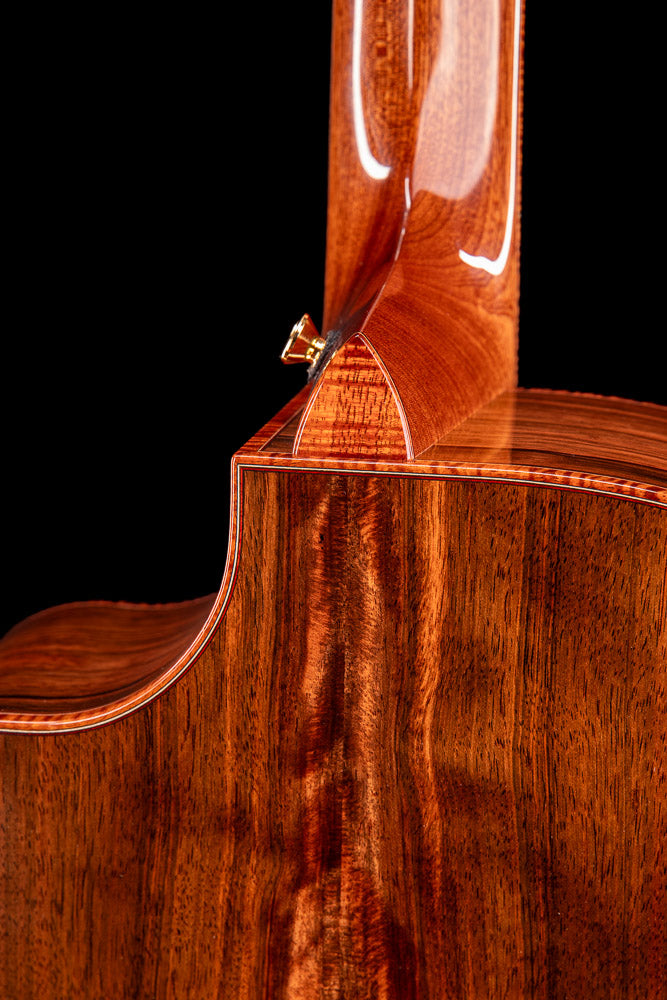 MG 4.0XP Macassar Ebony & Dark Forest Cypress