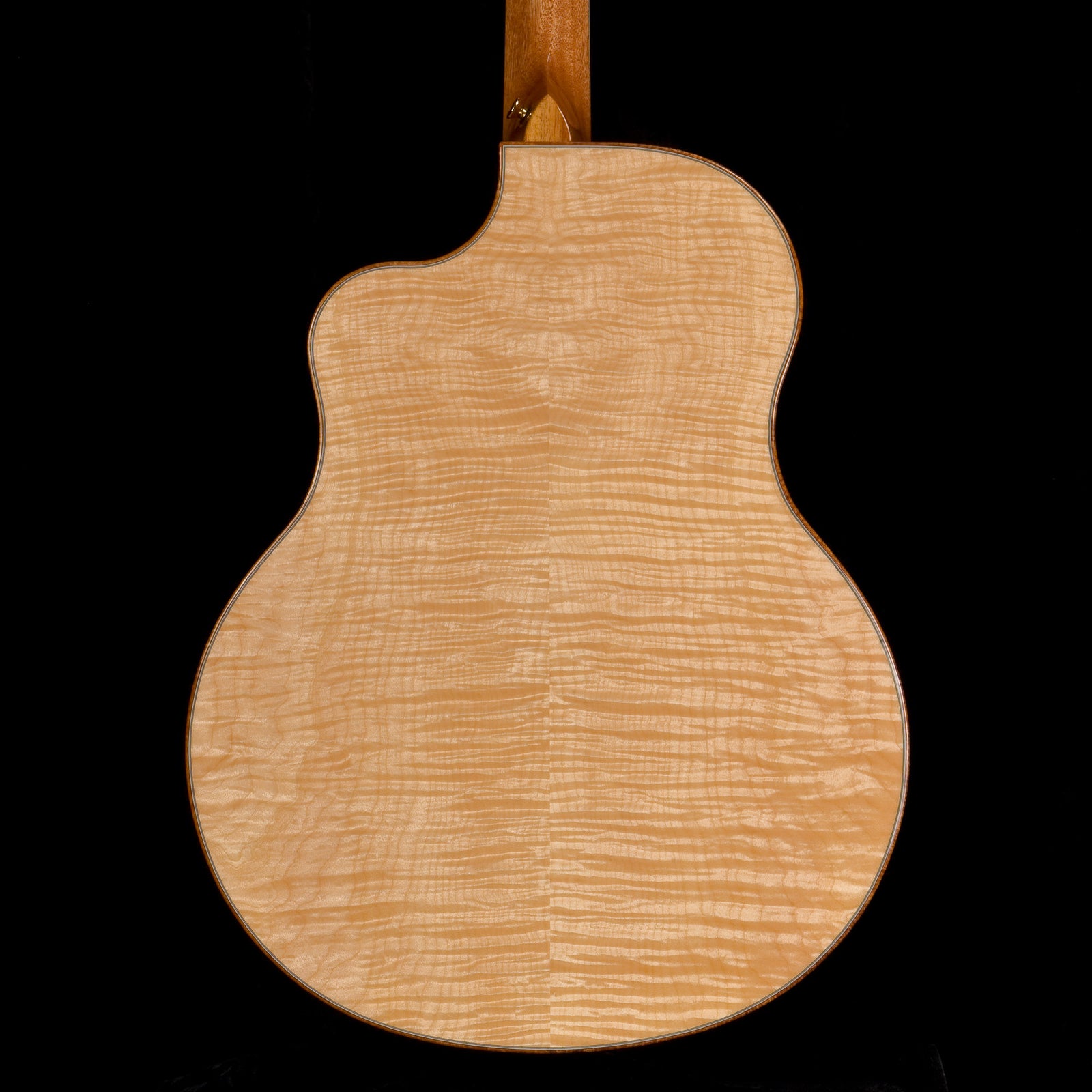 Flamed Maple